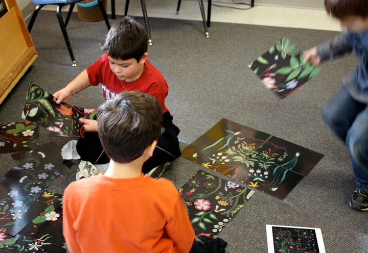 NEW! Medicines To Help Us (Book or Study Print Kit) - Image 3