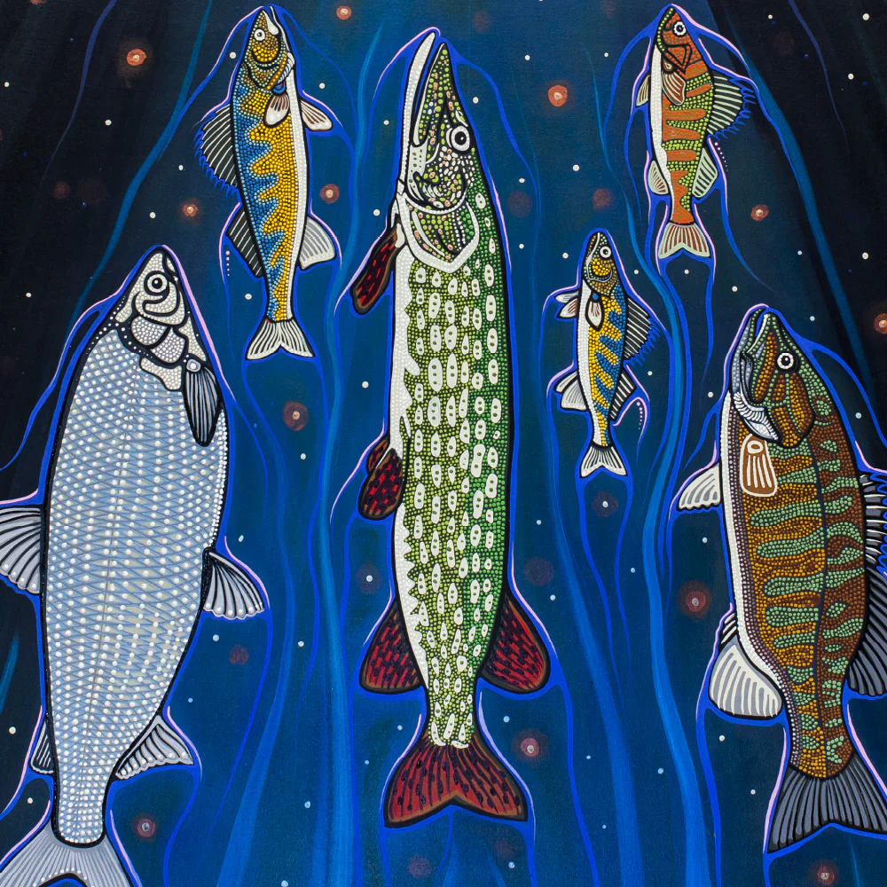 The Fish Are Fasting - Image 3